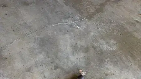 Spring Replacement Complete — Valley Park, MO